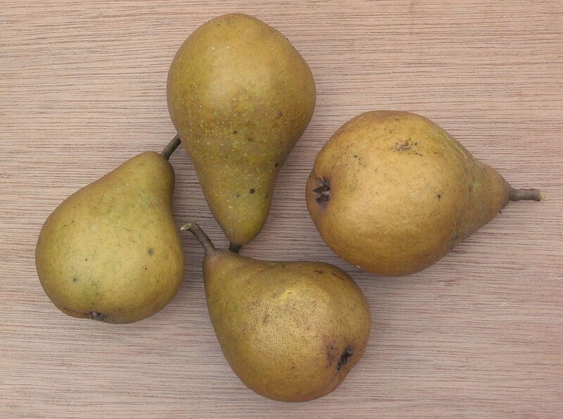 Gieser Wildeman Stoofperen onbespoten "Nieuwe Oogst" 1kg