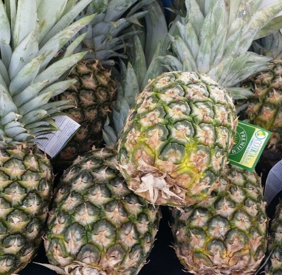 Ananas 