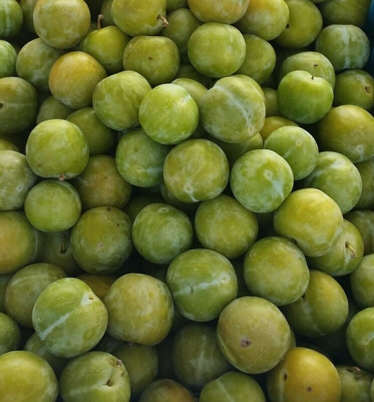 Reine claude Pruimen 500gr