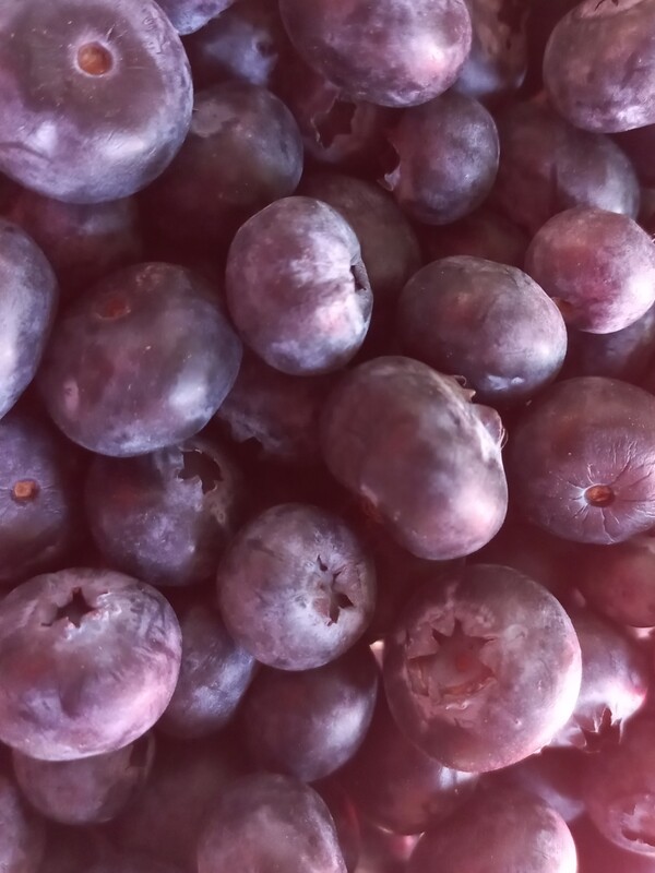 Blauwe Bessen 125gr