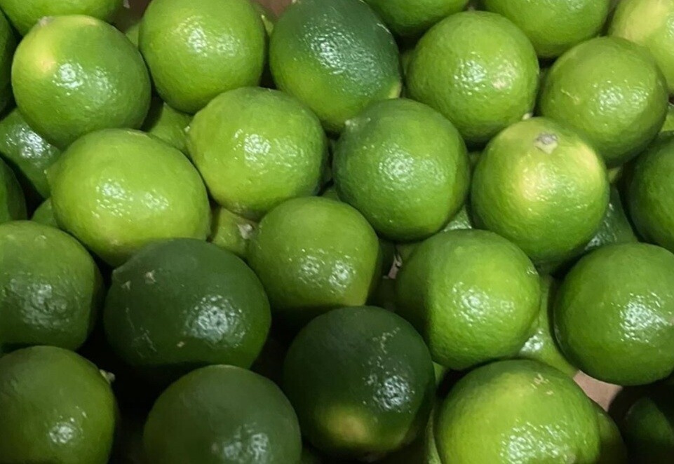 Limoen/Lime per stuk