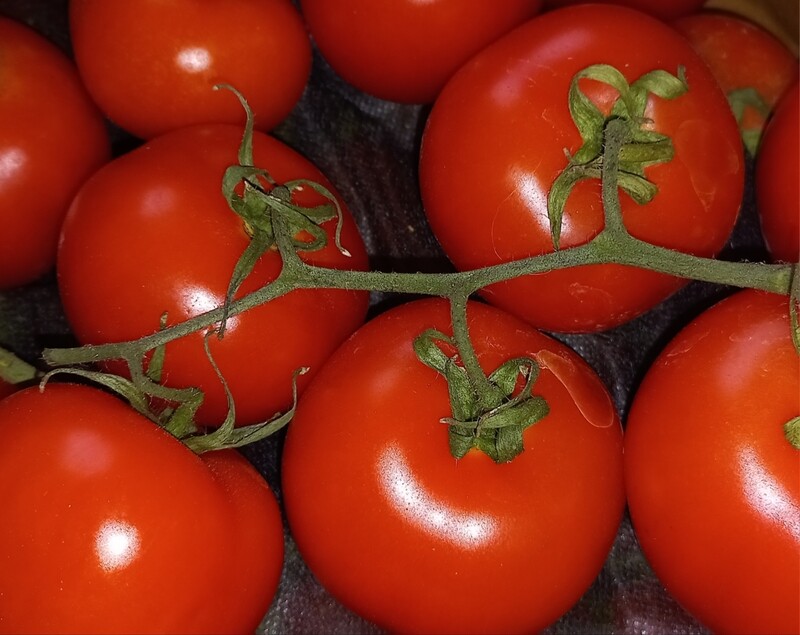 Tros Tomaten 500gr