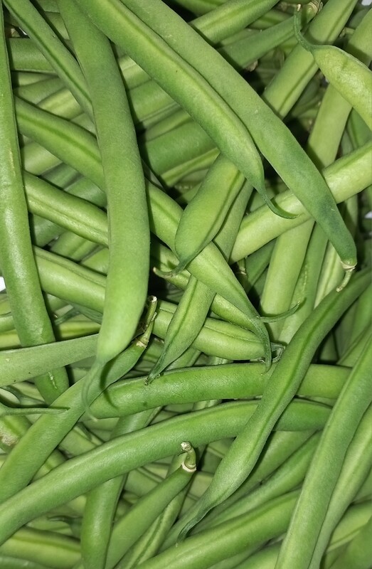 Sperziebonen 500gr