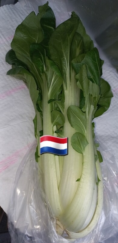 Paksoi