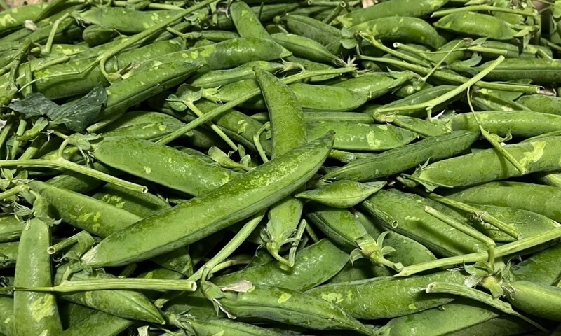 Verse Doperwten 500gr