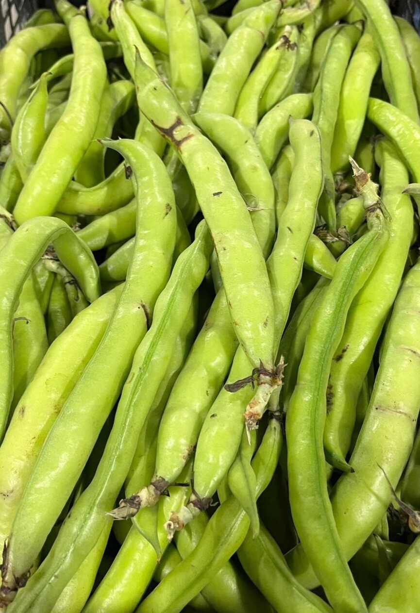 Verse Tuinbonen 500gr