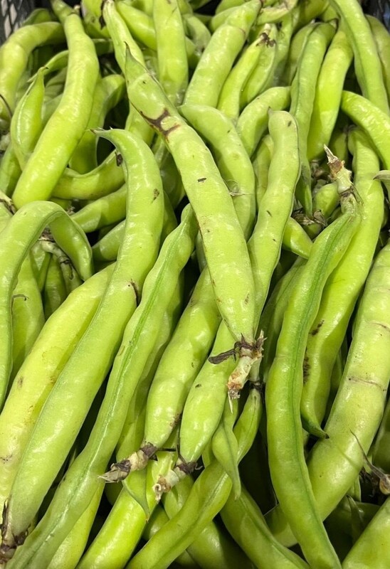 Verse Tuinbonen 500gr