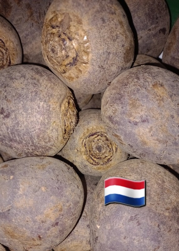 Rauwe bieten "Nieuwe oogst" 500gr 