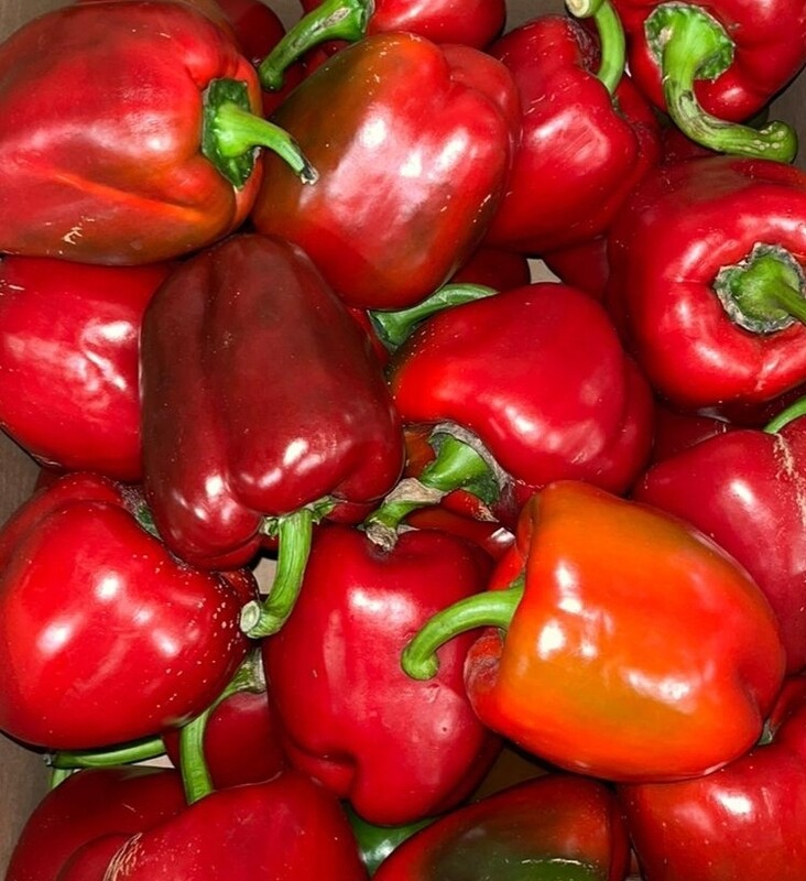 Paprika Rood per stuk 