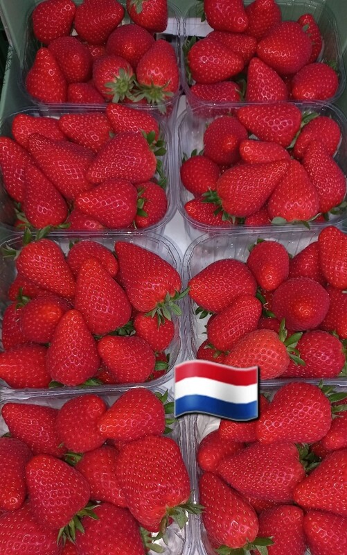 Aardbeien klasse1 500gr dagelijks vers van de boer!