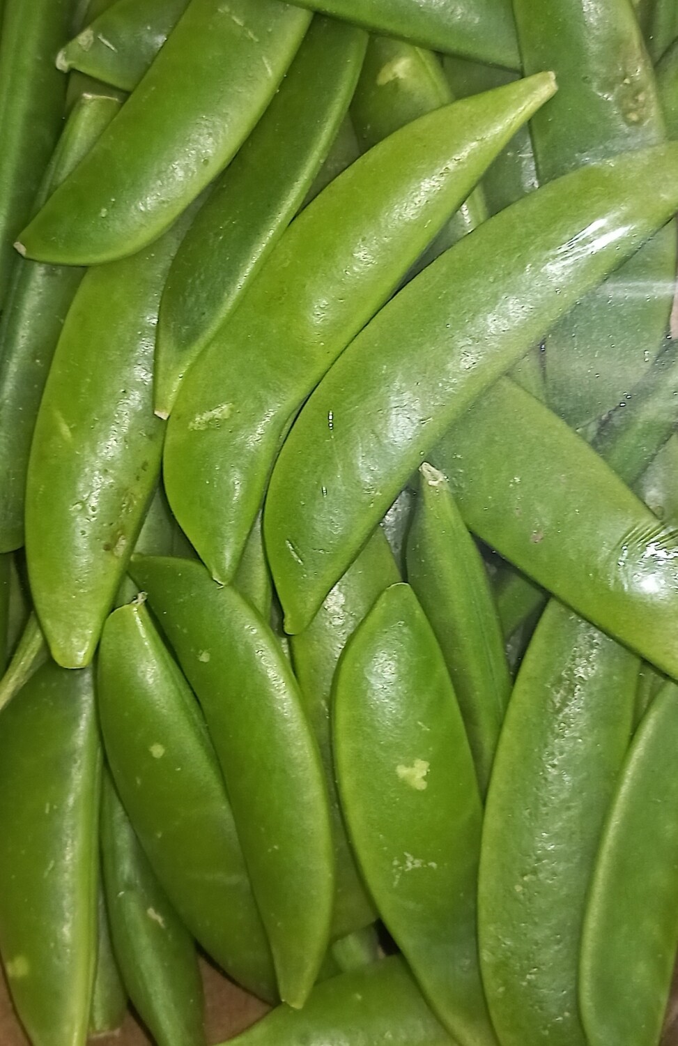 Sugar snaps 250gr