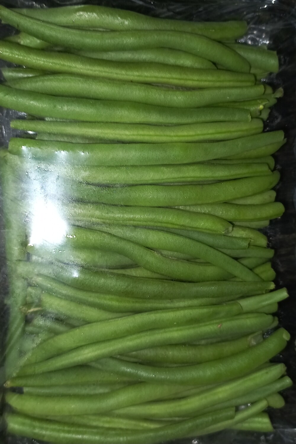 Haricots verts 250gr