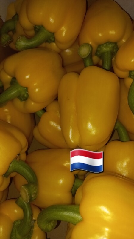 Paprika Geel per stuk