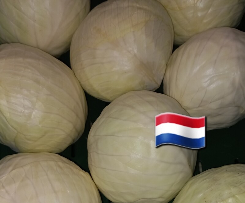 Witte kool per kilo