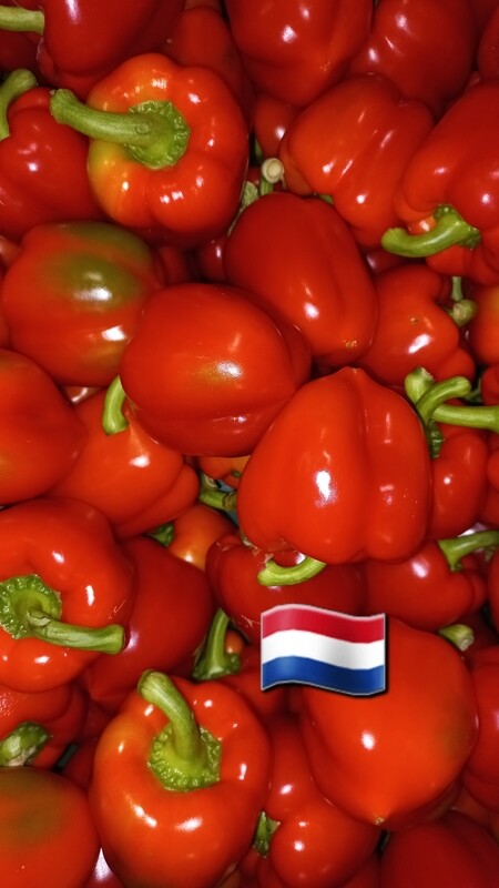 Paprika Rood per stuk 