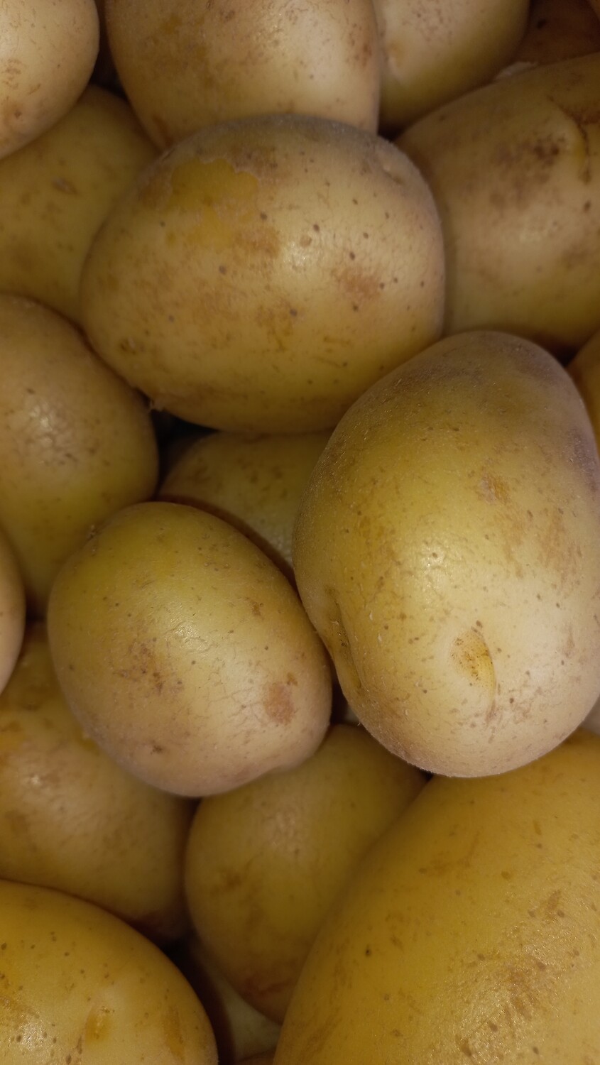 Nicola aardappels "Nieuwe oogst" 1kg 
