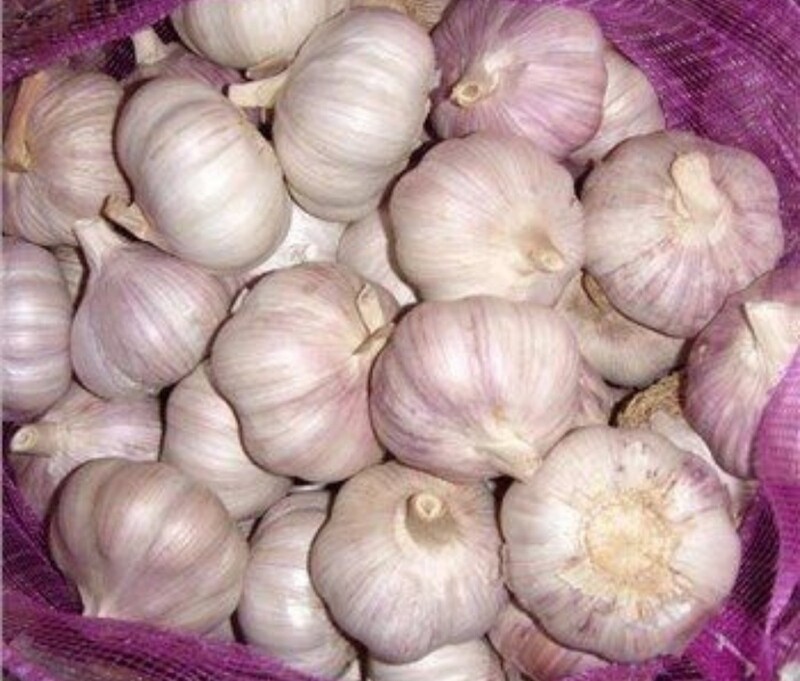 Bol knoflook gedroogd 