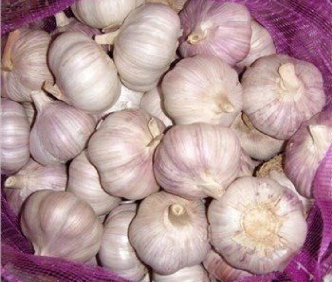 Bol knoflook gedroogd 