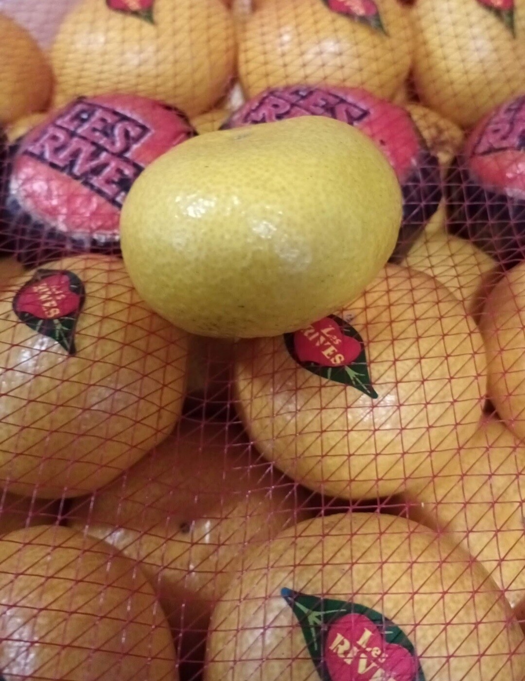 Mandarijnen fris "Nieuwe oogst" per stuk