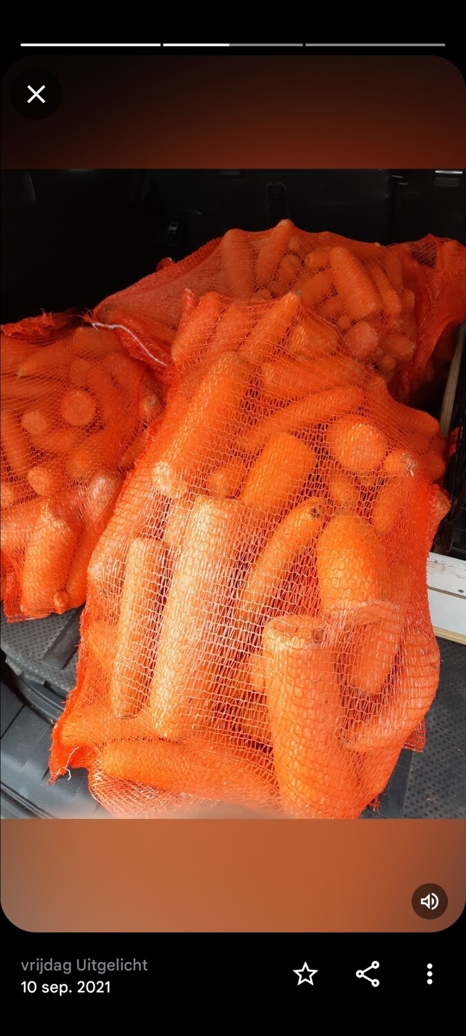Voerwortels 10kg