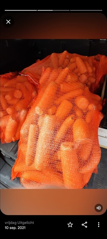 Voerwortels 10kg