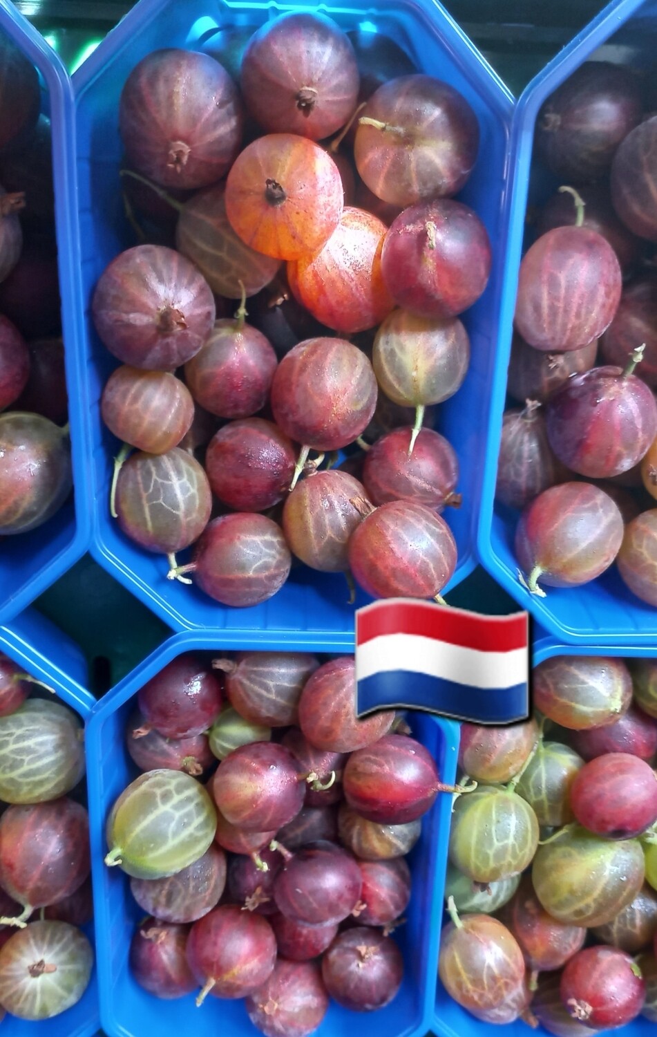 Hollandse Kruisbessen 150gr