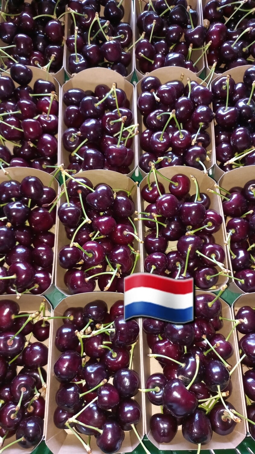 Hollandse Kas Kersen 500gr