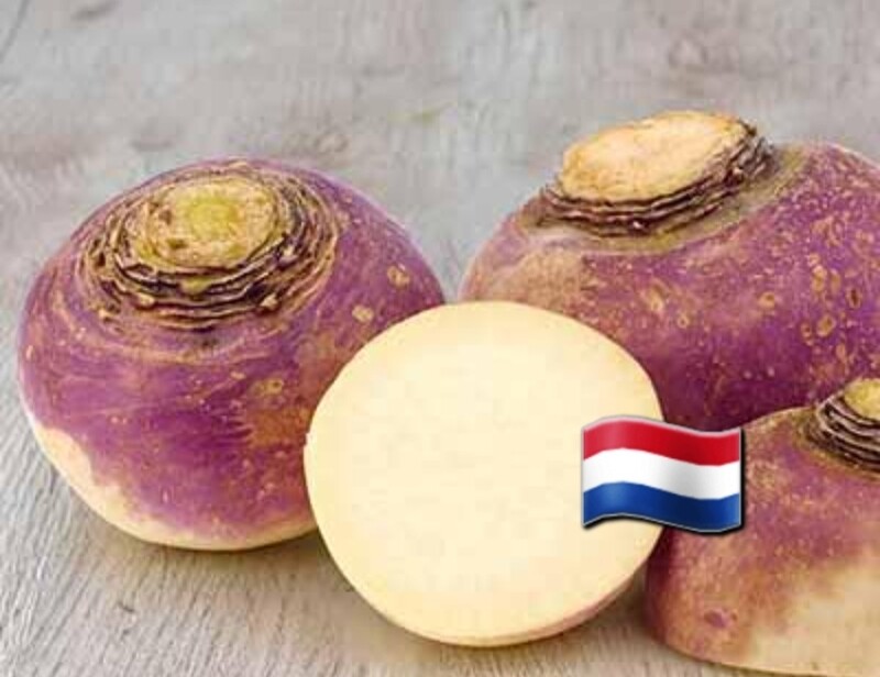 Koolraap "Nieuwe oogst" 1kg