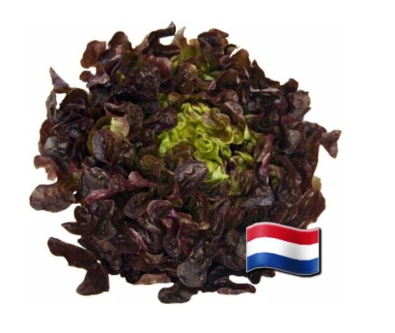 Eikenbladsla