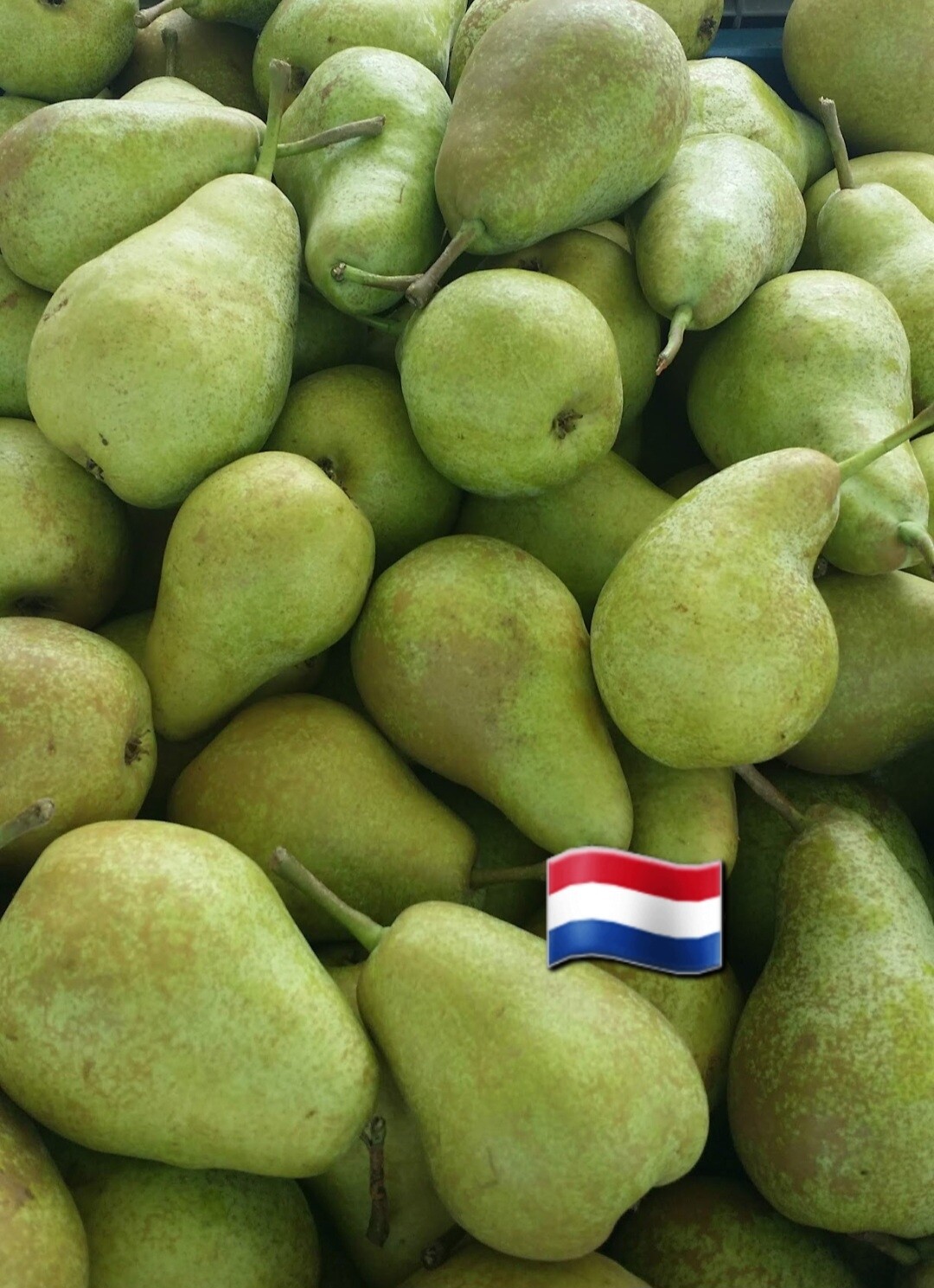 Doyen du comise peren onbespoten "Nieuwe oogst" 1kg