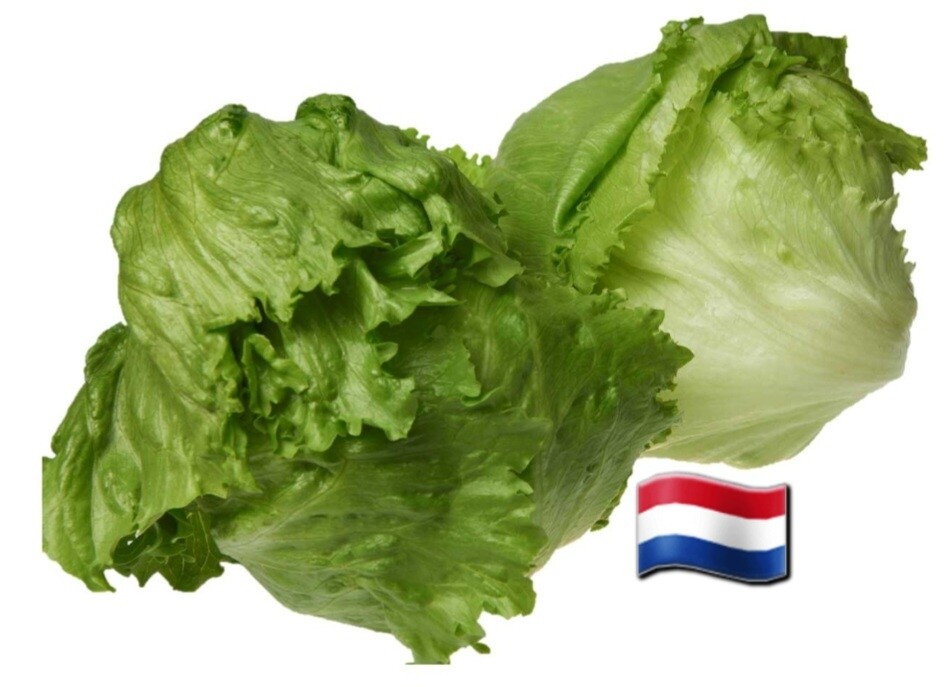ijsbergsla