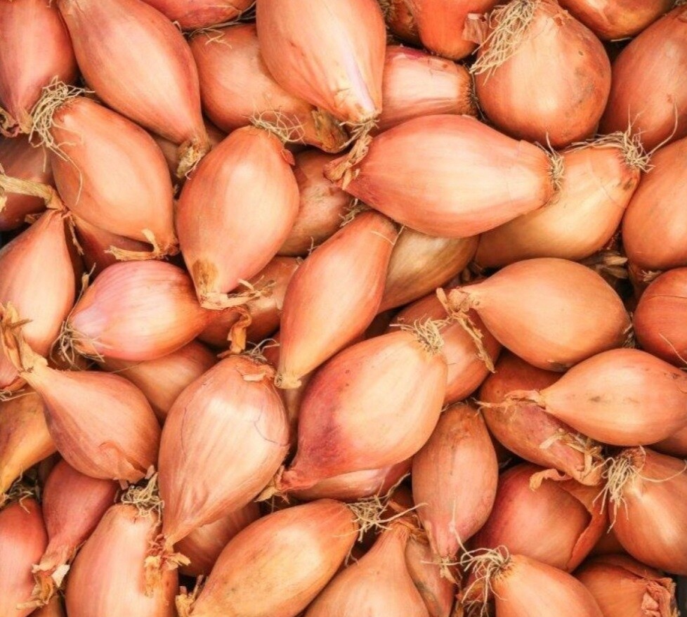 Sjalotjes 250gr