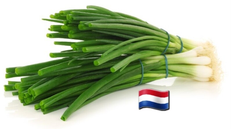 Bos Lente ui