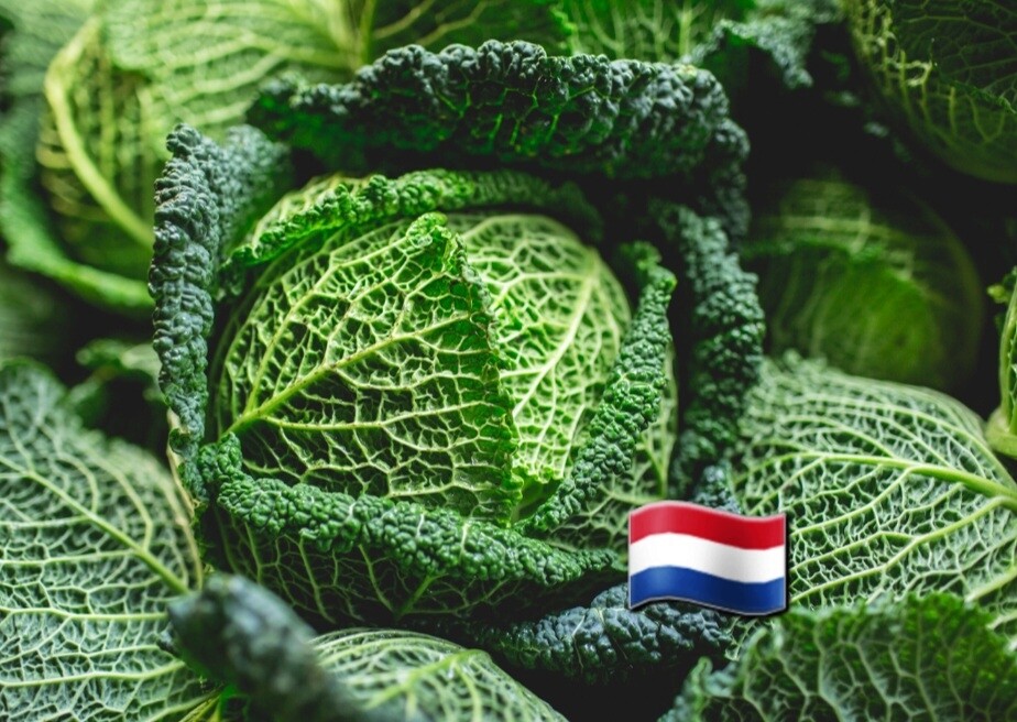 Groene/Savooie kool per kilo