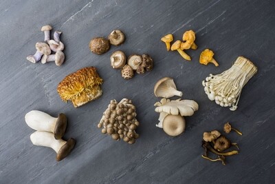 Champignons