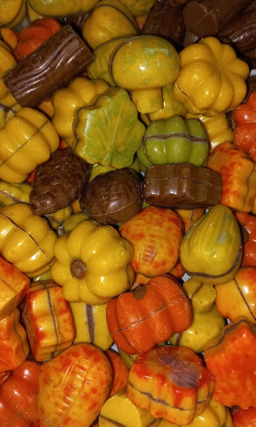 Herfst praline 200gr
