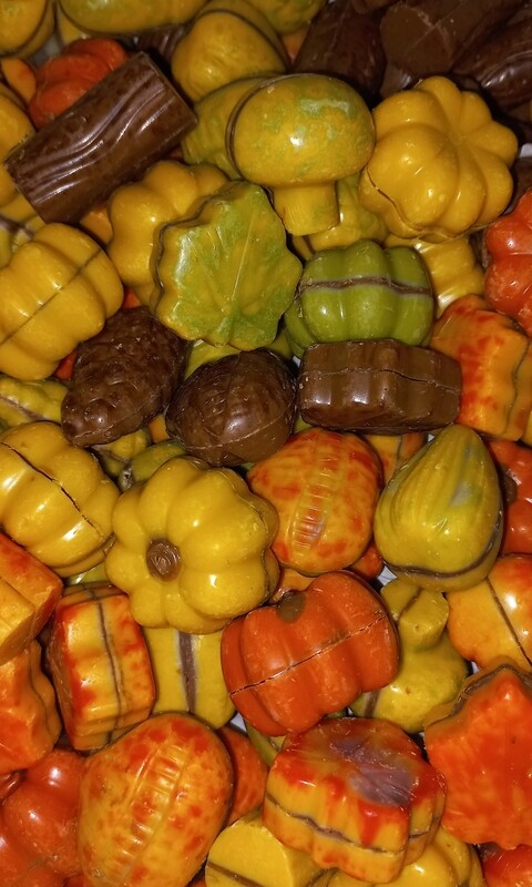 Herfst praline 200gr