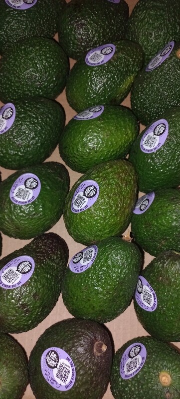 Avocado per stuk