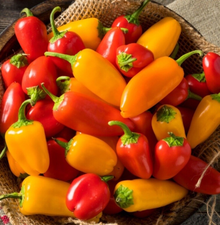 Mini paprika mix 250gr