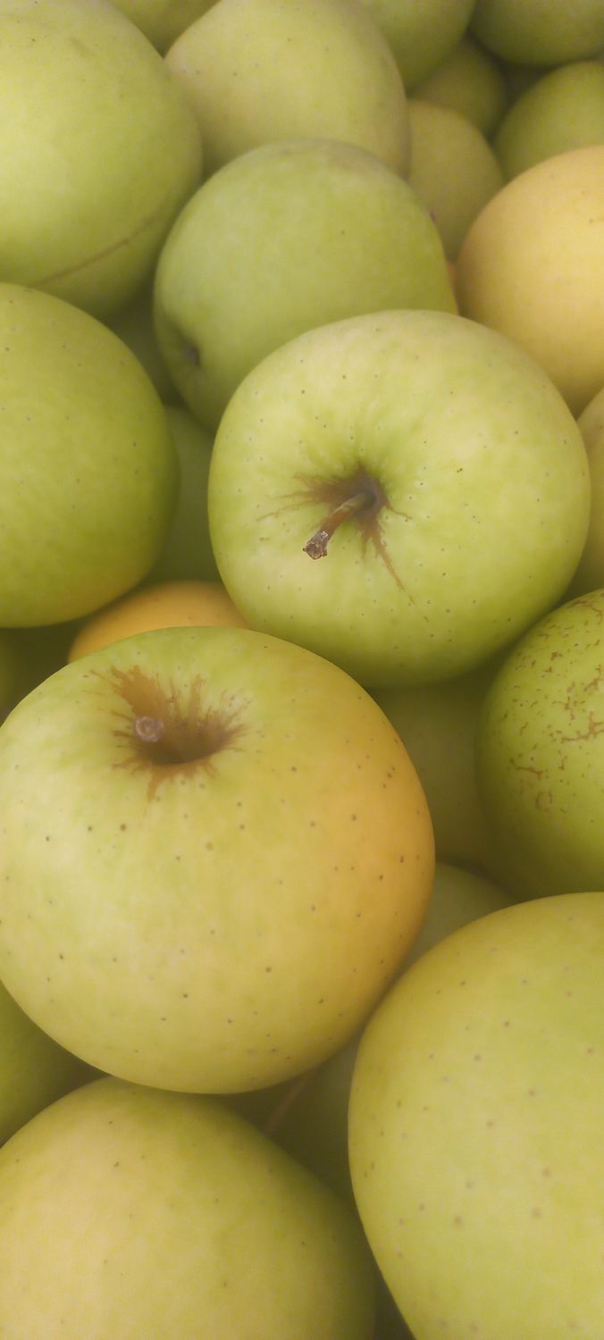 Golden Delicious Appels 1kg 