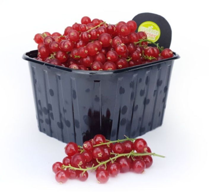 Hollandse Rode bessen 250gr