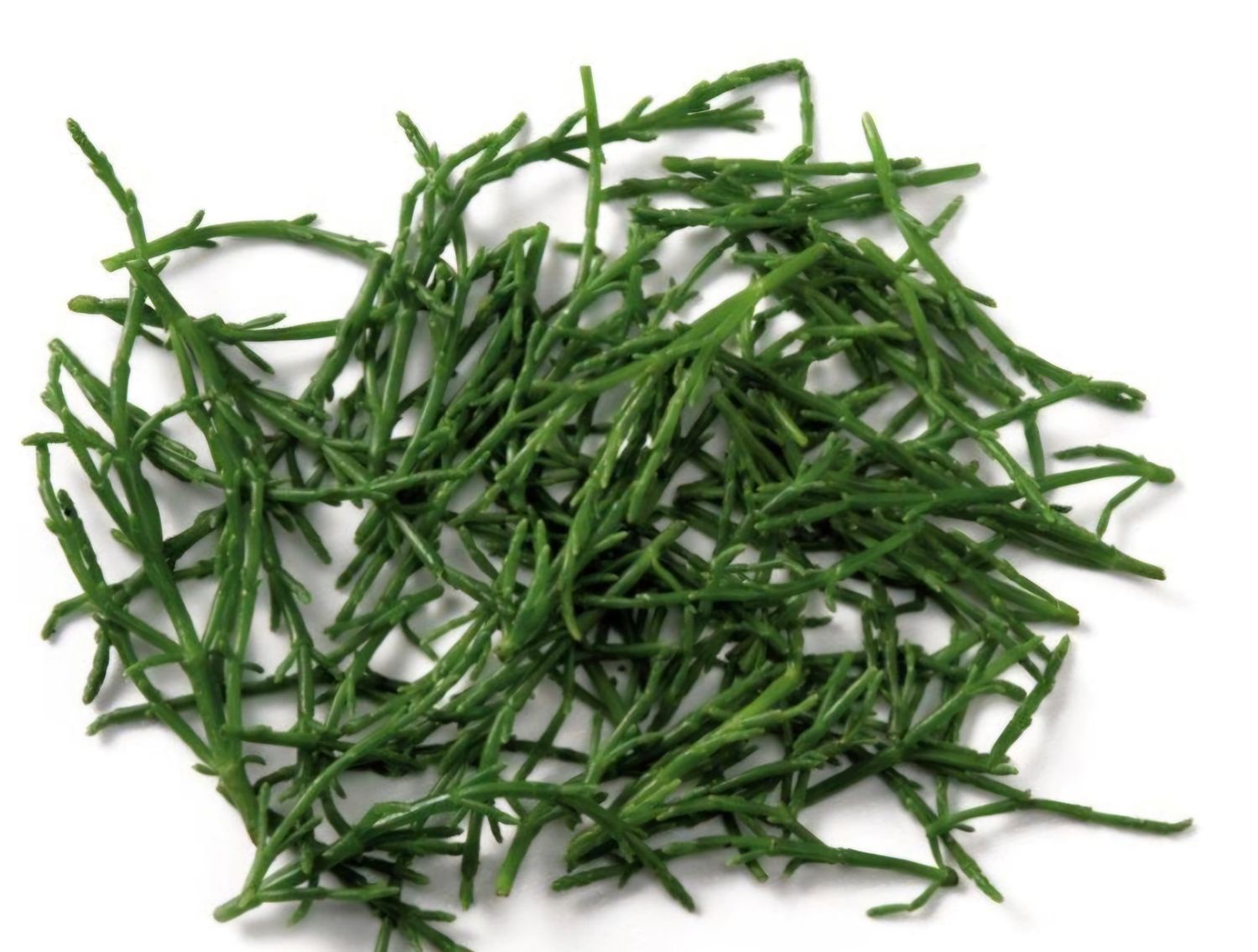 zakje Zeekraal (50gr)