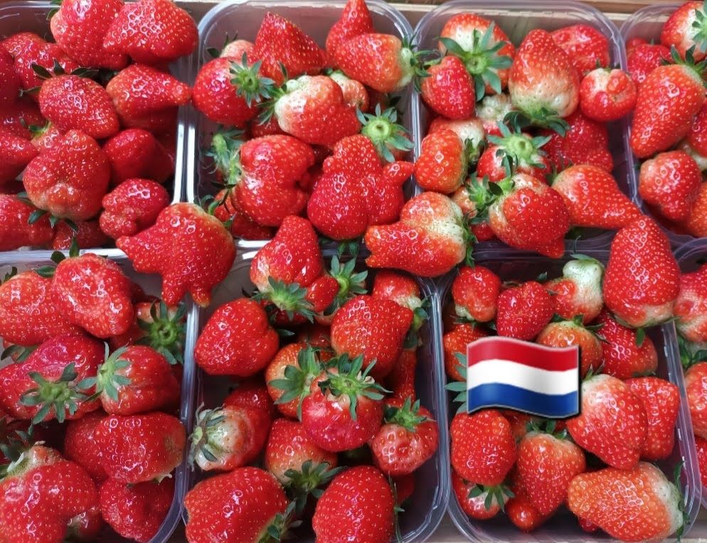 Aardbeien klasse 2 500gr