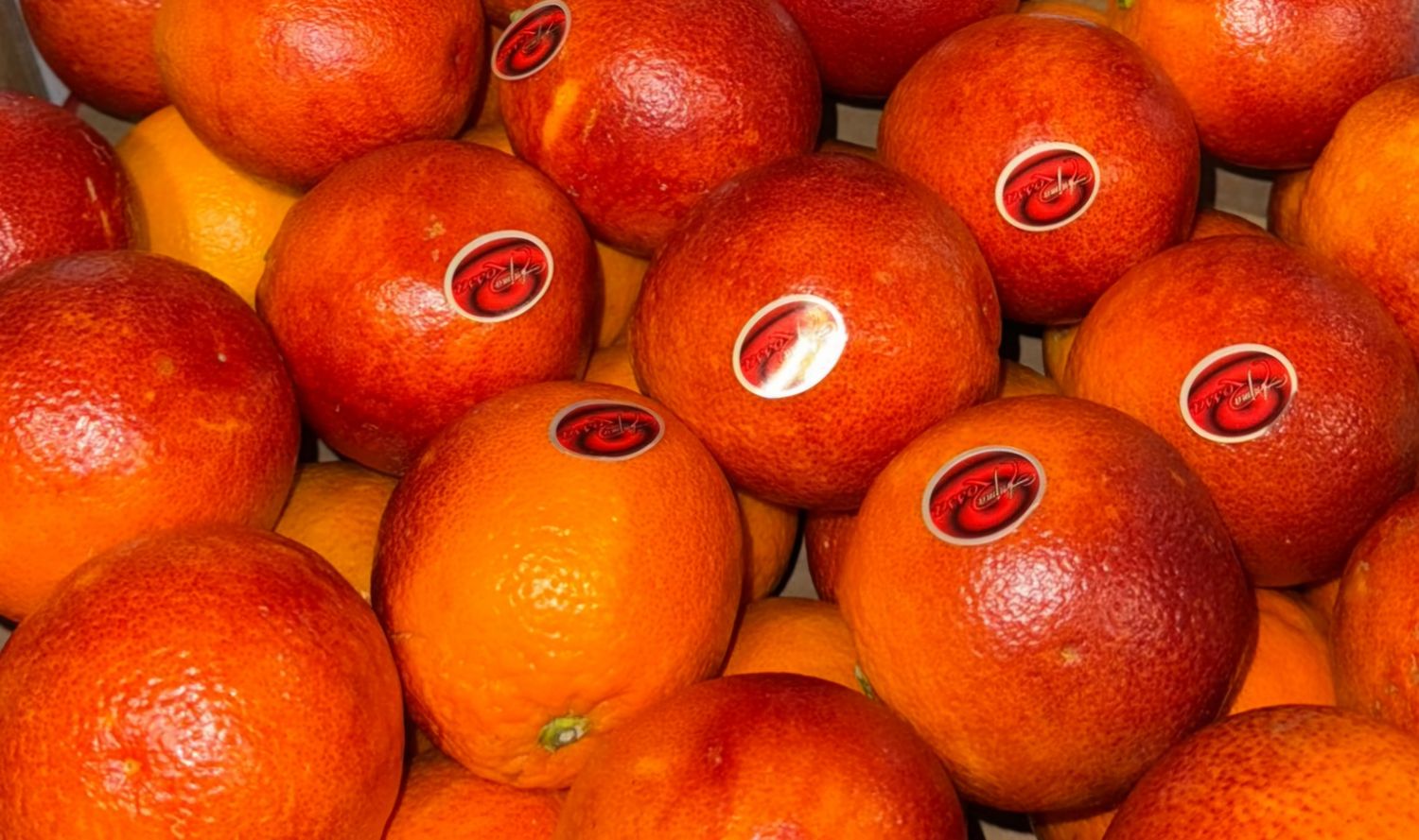 Bloed sinaasappels per stuk