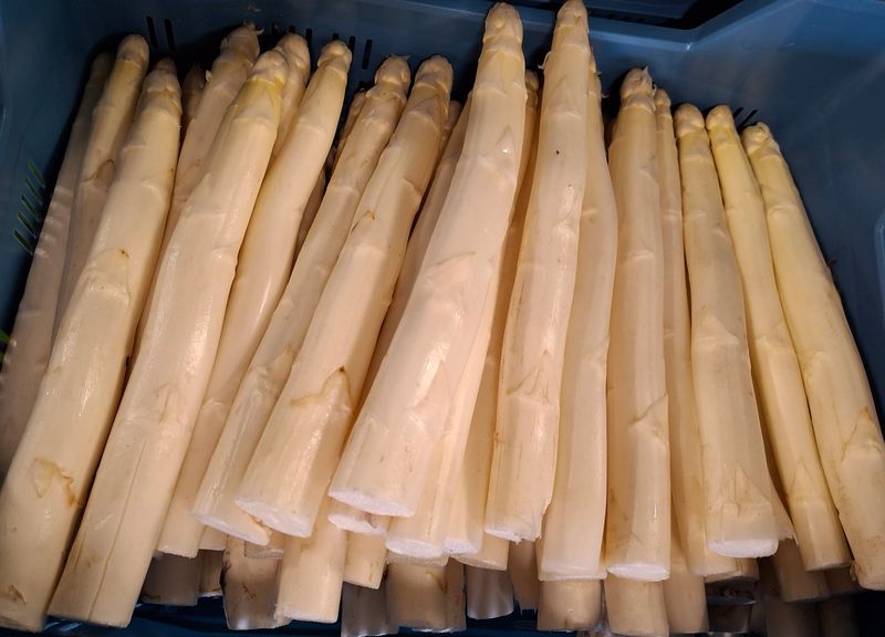 Asperges wit Hollands 500gr