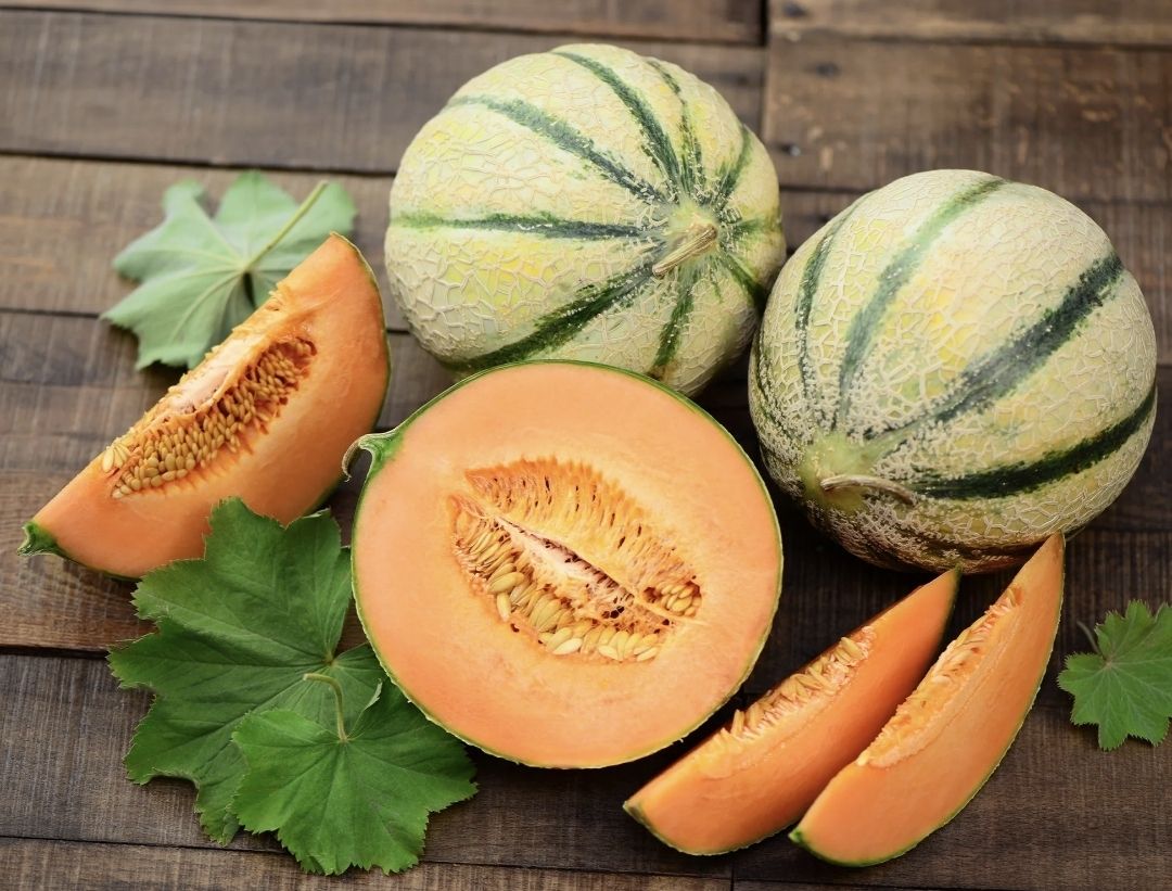 Cantaloupe meloen