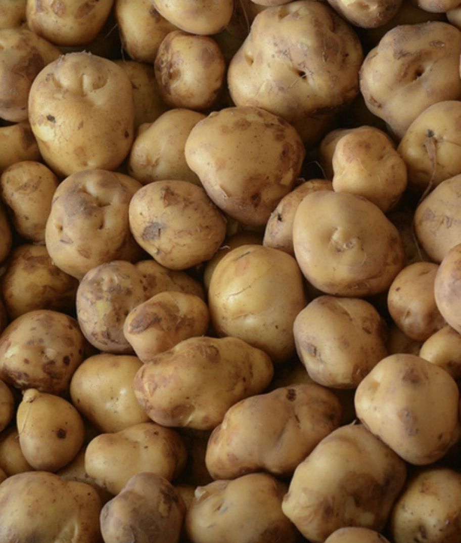 Opperdoesen aardappels 1kg