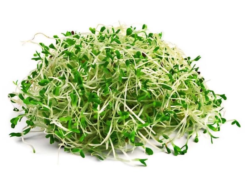 Alfalfa 100gr