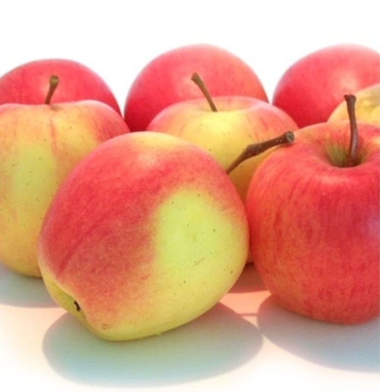 Pinova appels 1kg