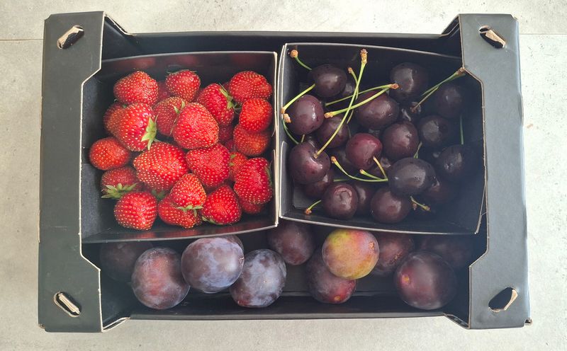 Zacht fruit doosje: Kersen, Aardbeien en Pruimen